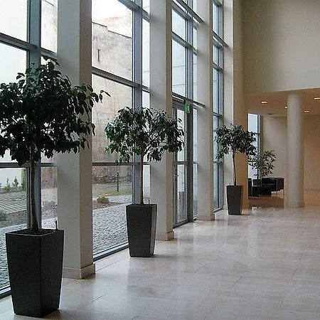 Angel Plaza Krakkó